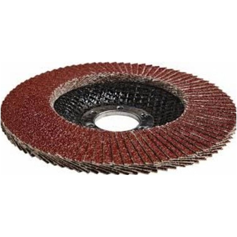 Šlifavimo diskas lapelinis išgaubtos formos P80 125X22,2mm Šlifavimo diskas lapelinis išgaubtos formos P80 125X22,2mm
