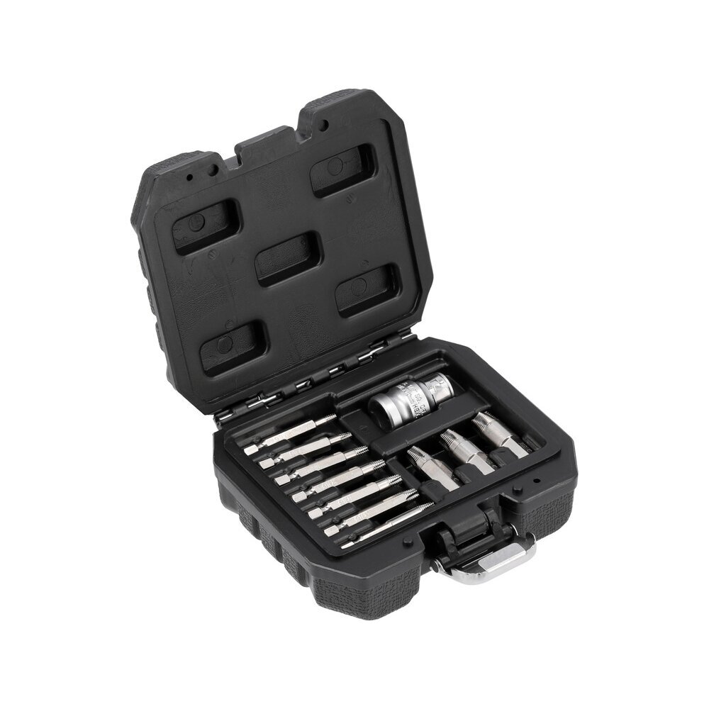 Antgalių rinkinys sugadintiems T-Star (Torx) su skyle 11 vnt. 1 Antgalių rinkinys sugadintiems T-Star (Torx) su skyle 11 vnt. 1