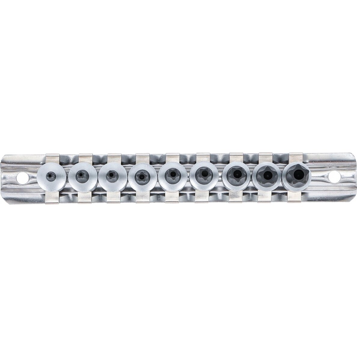 Antgalių rinkinys 6,3 mm (1/4") TS-Star (Torx Plus) TS10 - TS50 9 vnt . 2