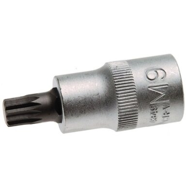 Antgalis įpresuotas į galvutę 1/2", M5 x 53 mm