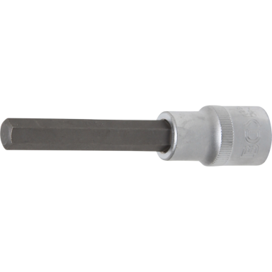 Antgalis įpresuotas į galvutę ilgis 100mm. 12,5mm (1/2") hex šešiakampis 10mm.