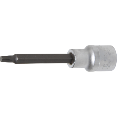 Antgalis įpresuotas į galvutę ilgis 100mm.12,5mm (1/2") T-star (Torx) T30