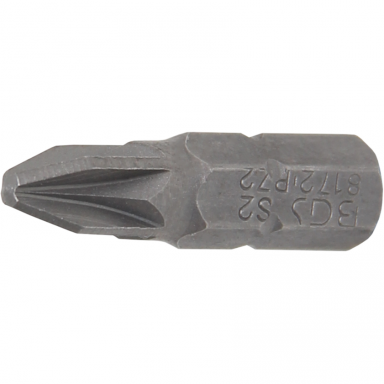 Antgalis kryžminis 6,3mm. Kryžminis PZ2