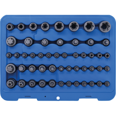 Antgalių ir galvučių rinkinys E-Type - T-Star (Torx) T-Star su skyle (Torx)  TP-Star (Torx Plus) 52vnt.