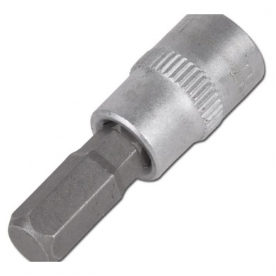 Antgalis įpresuotas į 1/4" galvutę H8 Antgalis įpresuotas į 1/4" galvutę H8