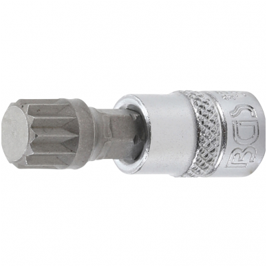 Antgalis įpresuotas į galvutę (1/4") Spline (XZN) M10 Antgalis įpresuotas į galvutę (1/4") Spline (XZN) M10