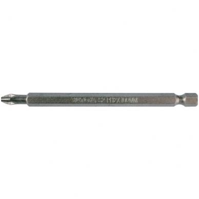 Antgalis PH2x100mm. Antgalis PH2x100mm.