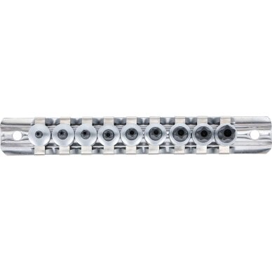 Antgalių rinkinys 6,3 mm (1/4") TS-Star (Torx Plus) TS10 - TS50 9 vnt . 2