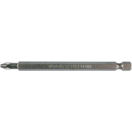 Antgalis PH2x100mm. Antgalis PH2x100mm.