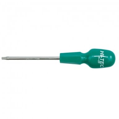 Atsuktuvas TORX T10x100mm.