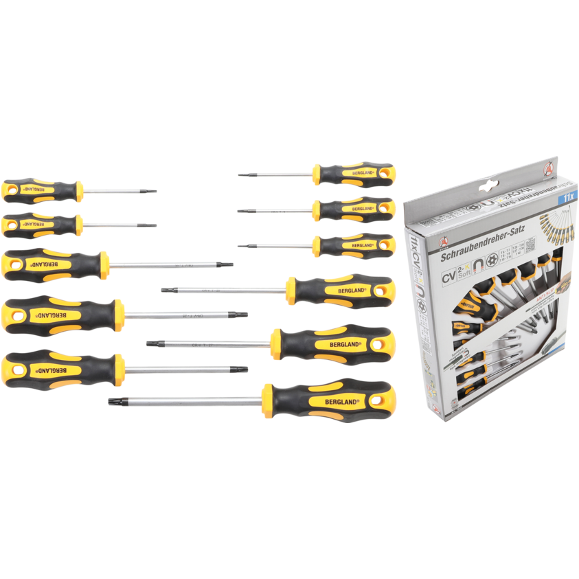 Atsuktuvų rinkinys T-Star su skyle (Torx) T6-T40, 11vnt.