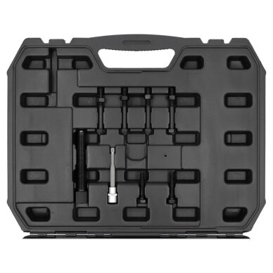 Duplex sankabos remonto komplektas Ford Power Shift transmisijai 1