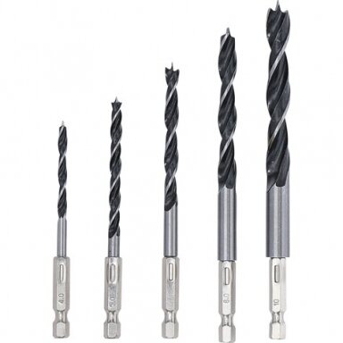 Grąžtų medžiui rinkinys 1/4" antgalis,  6 - 14mm. 5vnt.