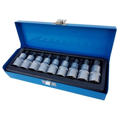 Įpresuotų antgalių rinkinys - 12.5 mm -T20 - T60 -9vnt.