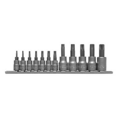 Įpresuotų antgalių rinkinys 1/4"+3/8", 12 vnt T-Star, T8-T55