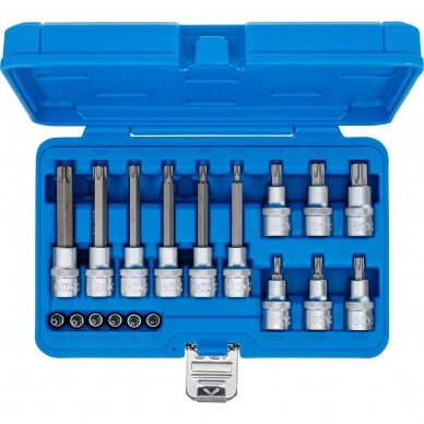 Įpresuotų antgalių rinkinys 6.3mm (1/4") / 12.5mm. (1/2") T-star su skyle (Torx) 18vnt. 3 Įpresuotų antgalių rinkinys 6.3mm (1/4") / 12.5mm. (1/2") T-star su skyle (Torx) 18vnt. 3