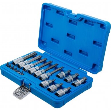 Įpresuotų antgalių rinkinys 6.3mm (1/4") / 12.5mm. (1/2") T-star su skyle (Torx) 18vnt. Įpresuotų antgalių rinkinys 6.3mm (1/4") / 12.5mm. (1/2") T-star su skyle (Torx) 18vnt.