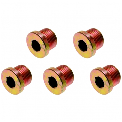 Karterio kamščiai M17x1.5, 5 vnt. Karterio kamščiai M17x1.5, 5 vnt.