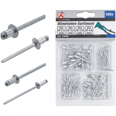 Kniedžių asortimentas Ø 2.4 - 4.8mm. 100vnt. Kniedžių asortimentas Ø 2.4 - 4.8mm. 100vnt.