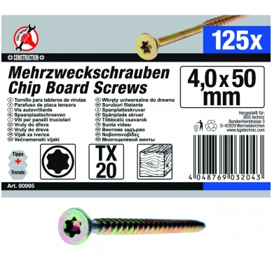 Medsraigčių rinkinys 4.0 x 50 mm, T20, 125vnt. 1 Medsraigčių rinkinys 4.0 x 50 mm, T20, 125vnt. 1