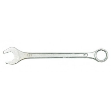Raktas kombinuotas 10 mm