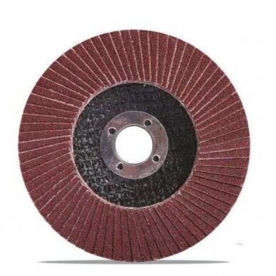 Šlifavimo diskas lapelinis plokščias P36 125X22,2mm.