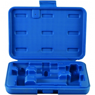 Tuščia dėžutė antgalių rinkiniui 4 vnt T-Star, 1/2" T70-T100 BGS 5103 Tuščia dėžutė antgalių rinkiniui 4 vnt T-Star, 1/2" T70-T100 BGS 5103
